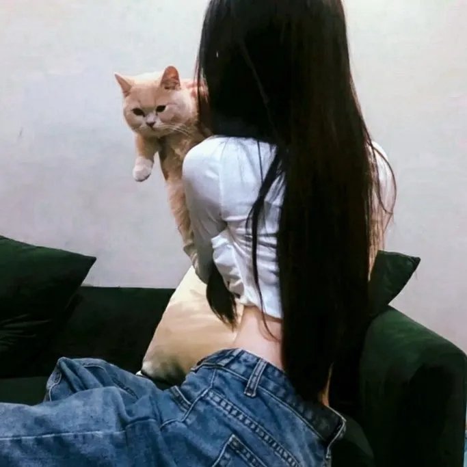 上线下线